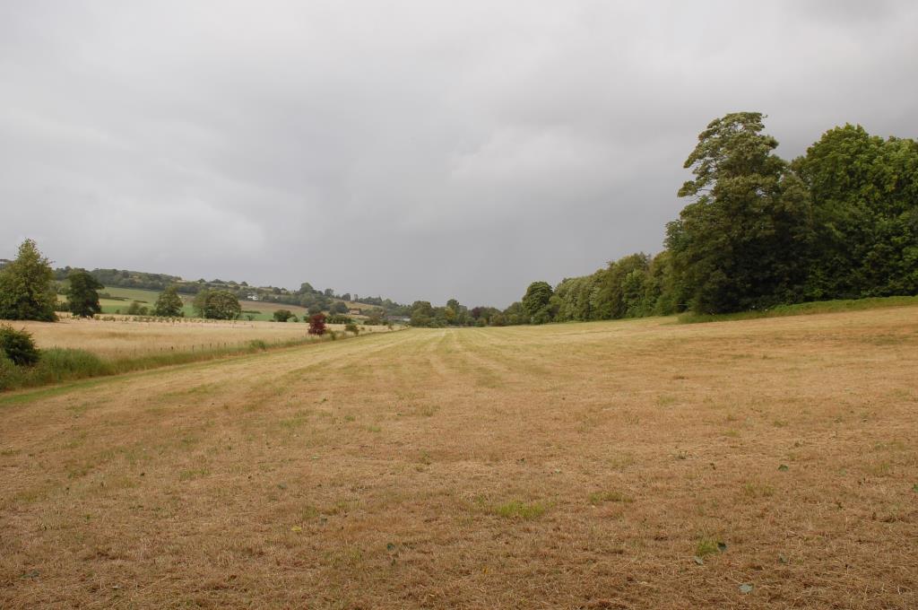 Lot: 106 - ALMOST EIGHT AND A HALF ACRES OF LAND - General view